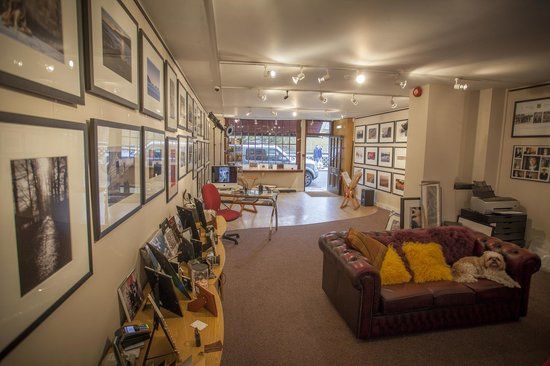 Rhubarb And Custard Photo Gallery